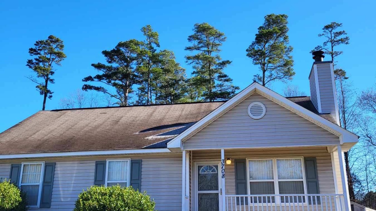 Photo of Outdoor in Paw Creek