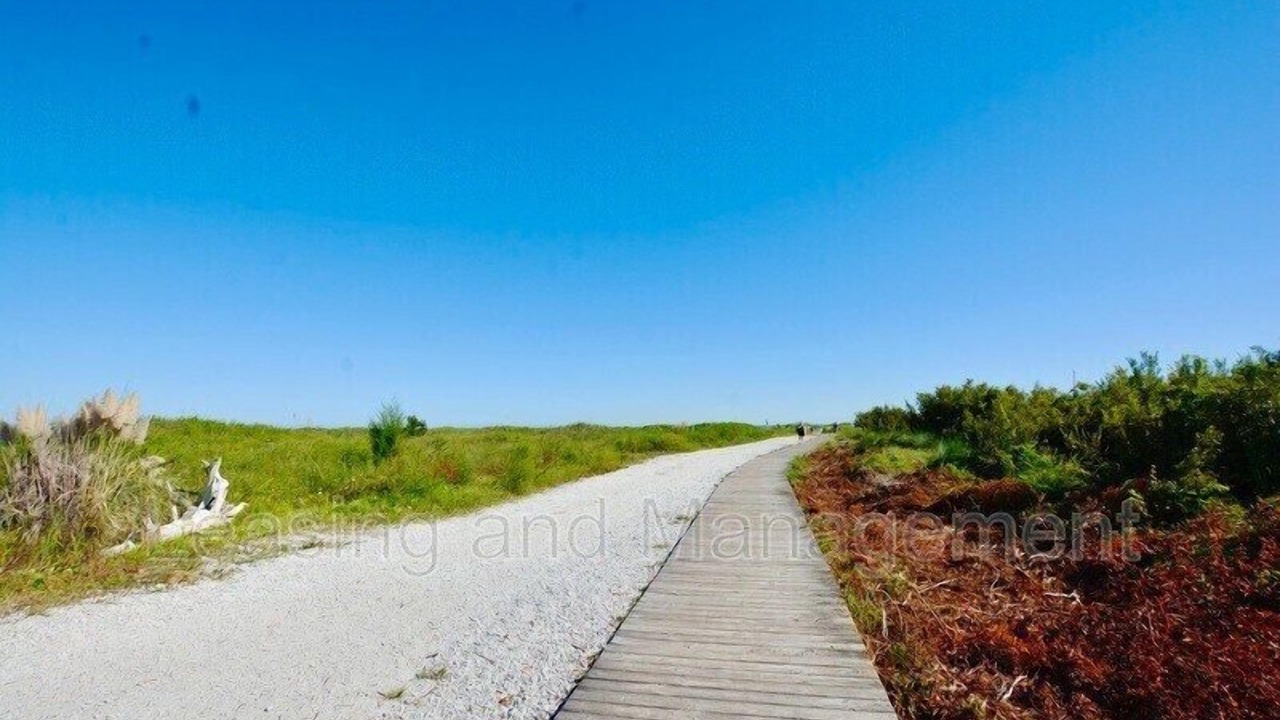 Photo of Outdoor in Sullivan's Island