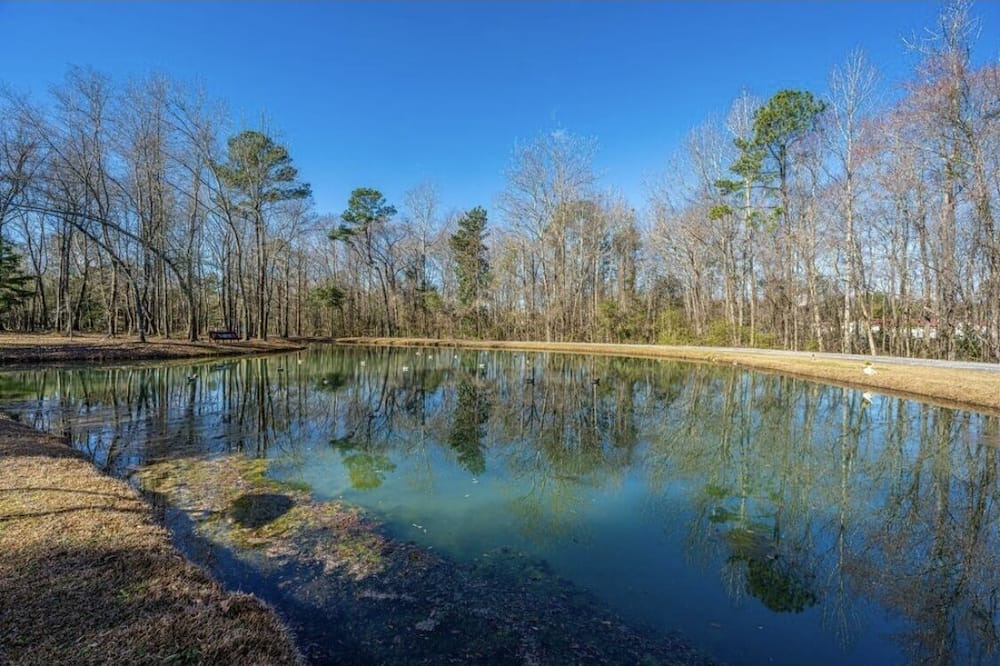 Photo of Outdoor in Moncks Corner