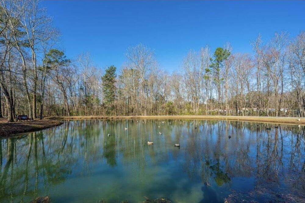 Photo of Outdoor in Moncks Corner