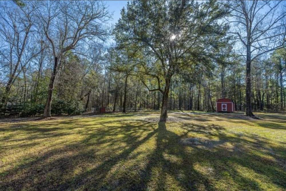 Photo of Outdoor in Moncks Corner