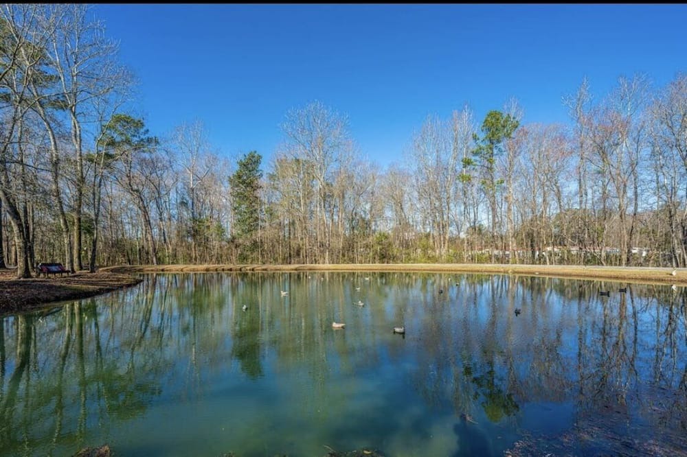 Photo of Outdoor in Moncks Corner