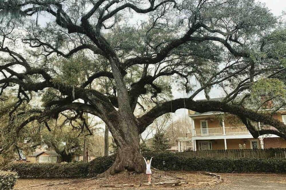 Photo of Others in Hanahan