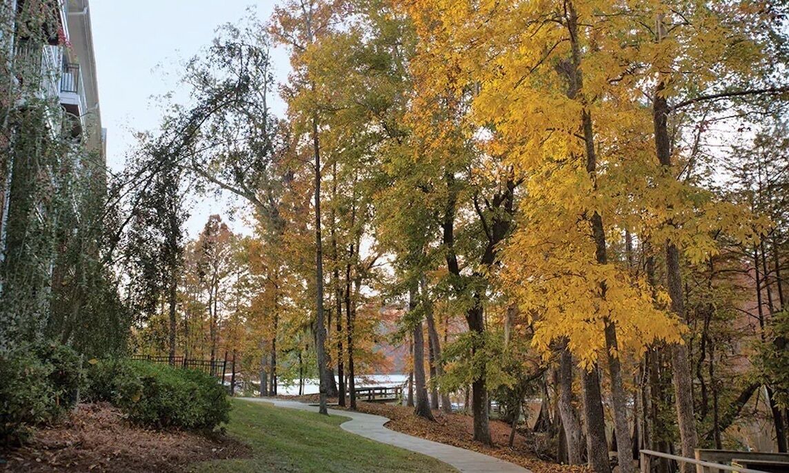 Photo of Outdoor in Santee