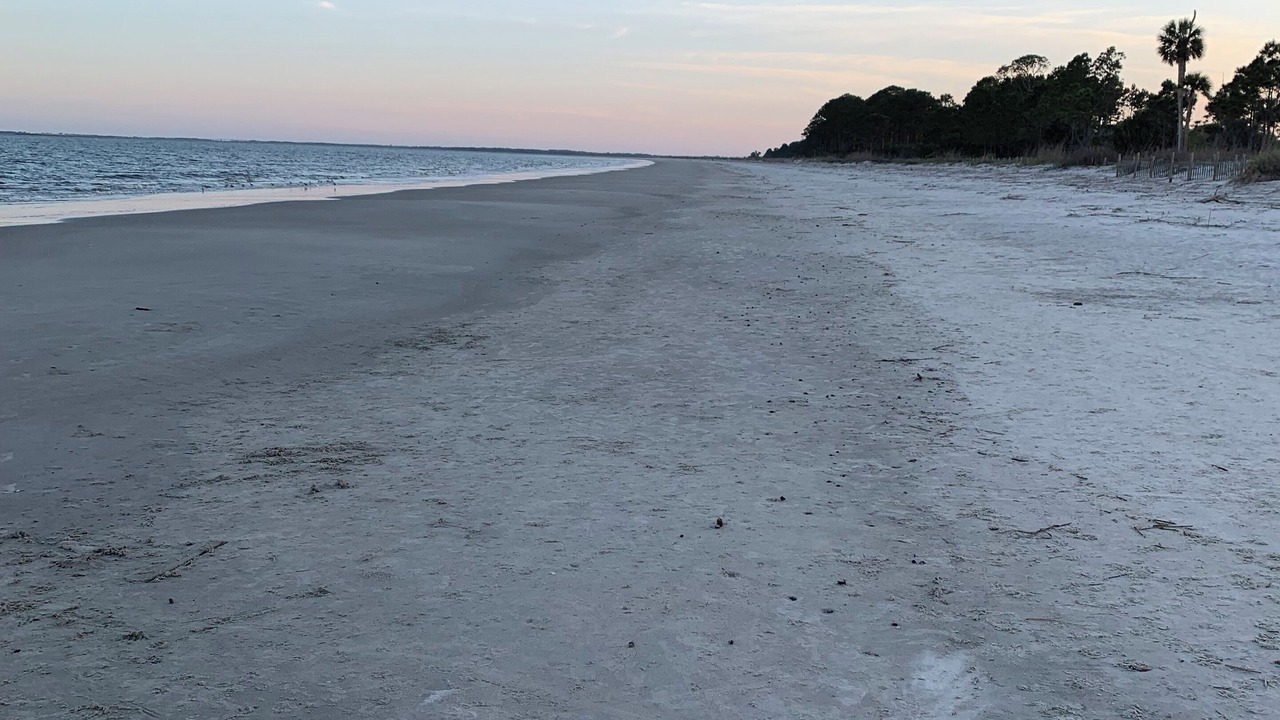 Photo of Others in Daufuskie Island