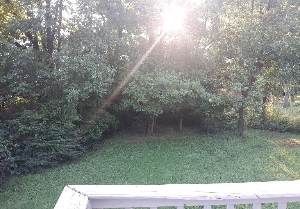 Photo of Outdoor in Villa Heights