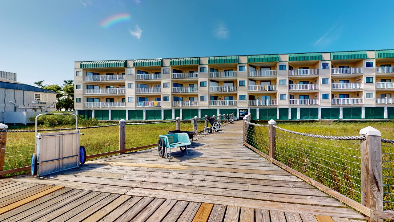 Photo of Outdoor in Edisto Island