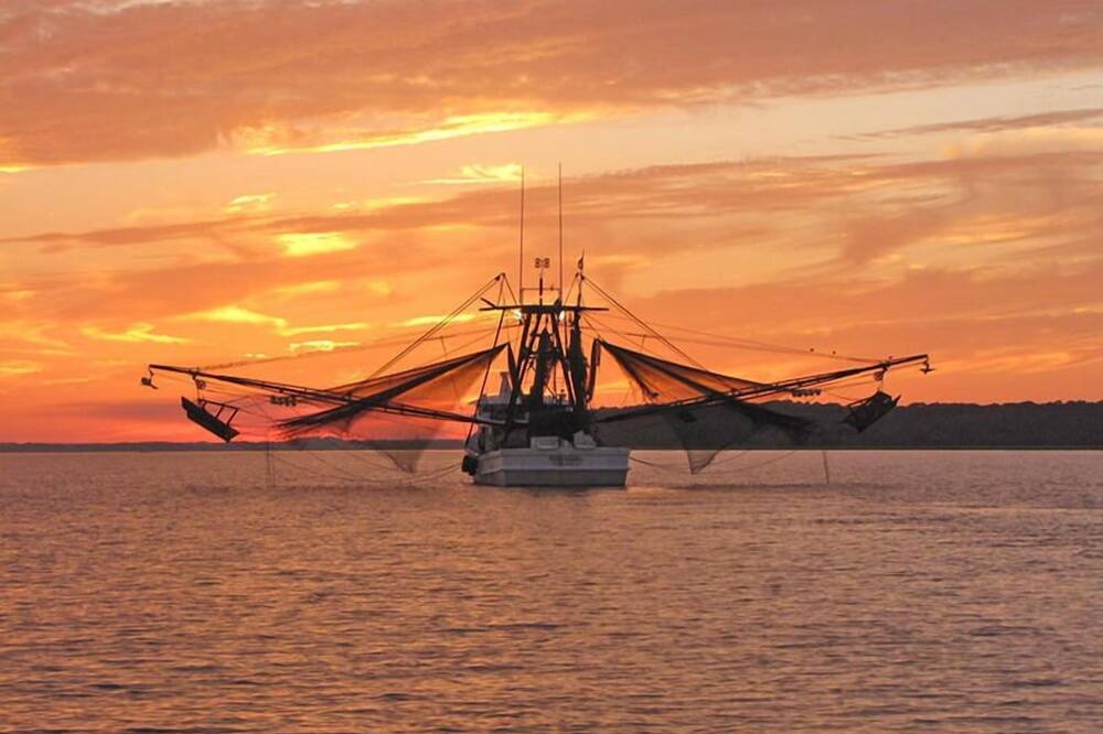 Photo of Others in Saint Helena Island