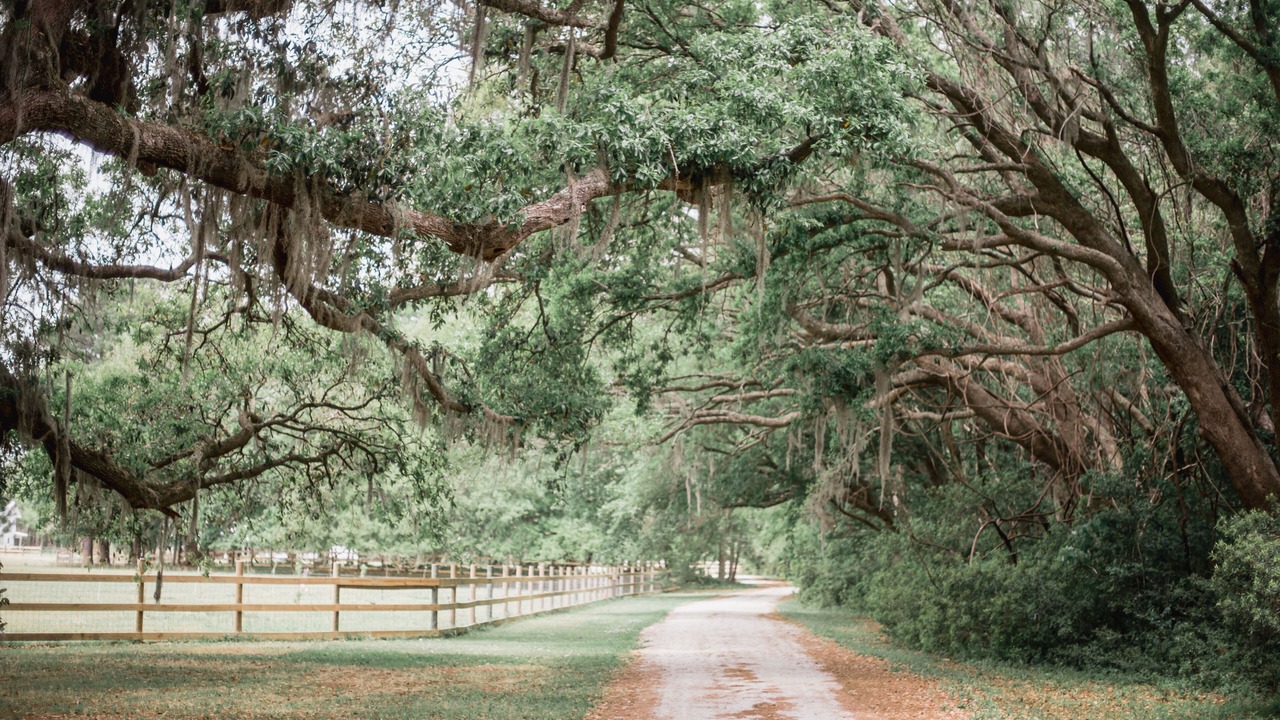 Photo of Outdoor in Debordieu Colony