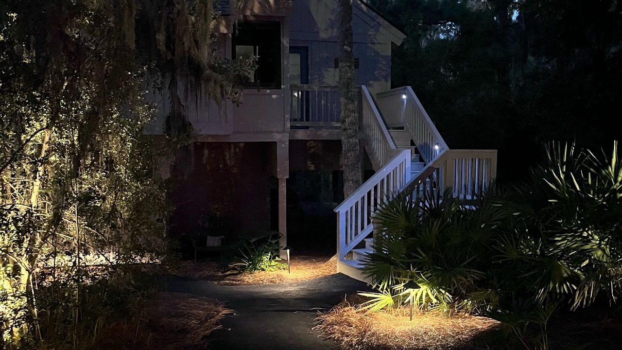 Photo of Outdoor in Night Heron