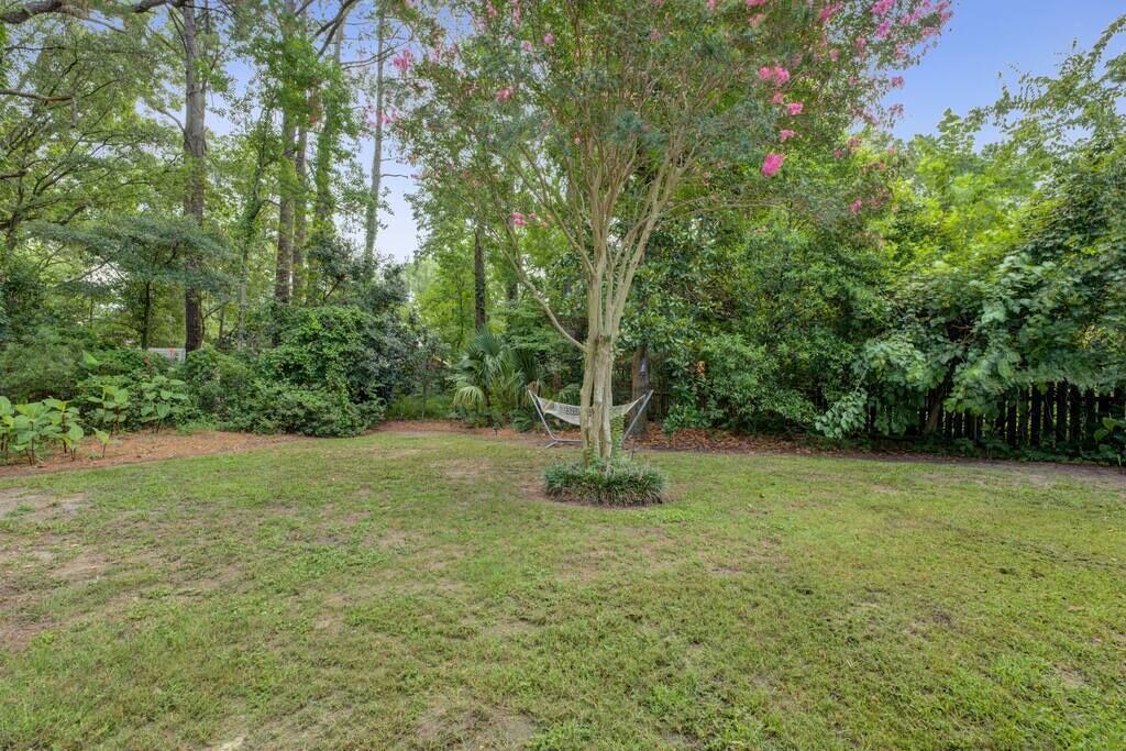 Photo of Outdoor in West Ashley