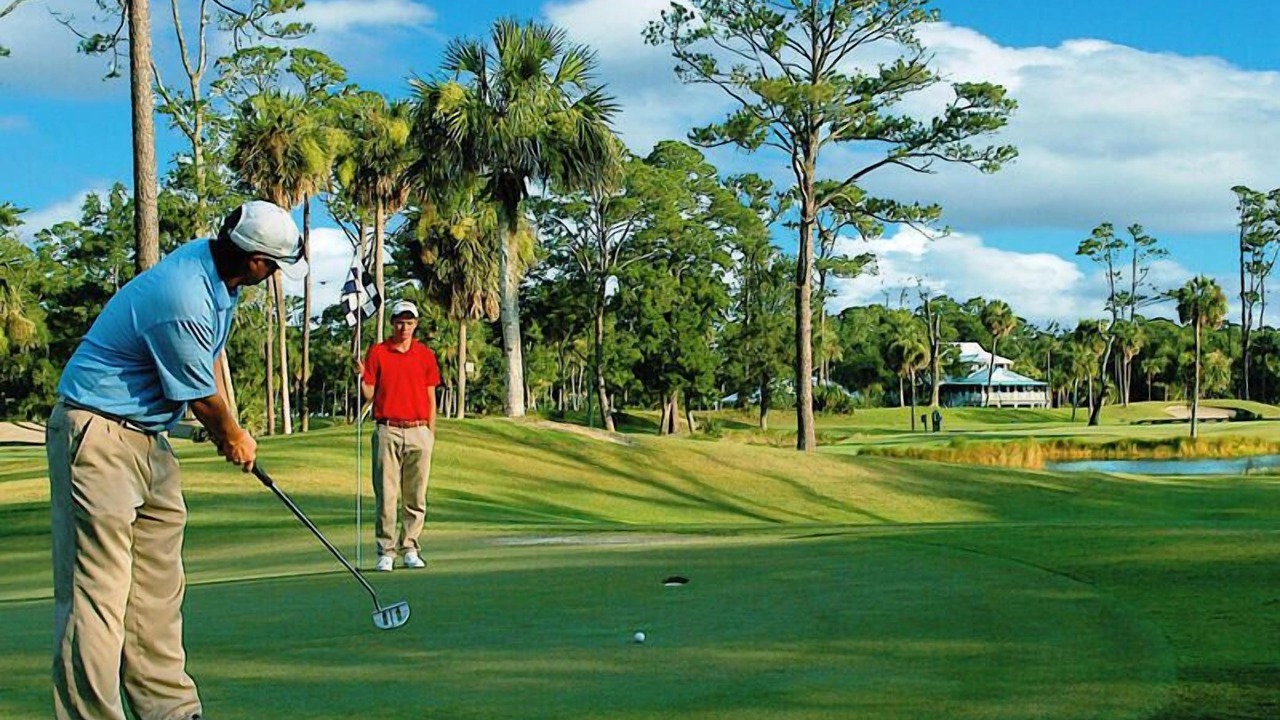 Photo of Others in Saint Helena Island
