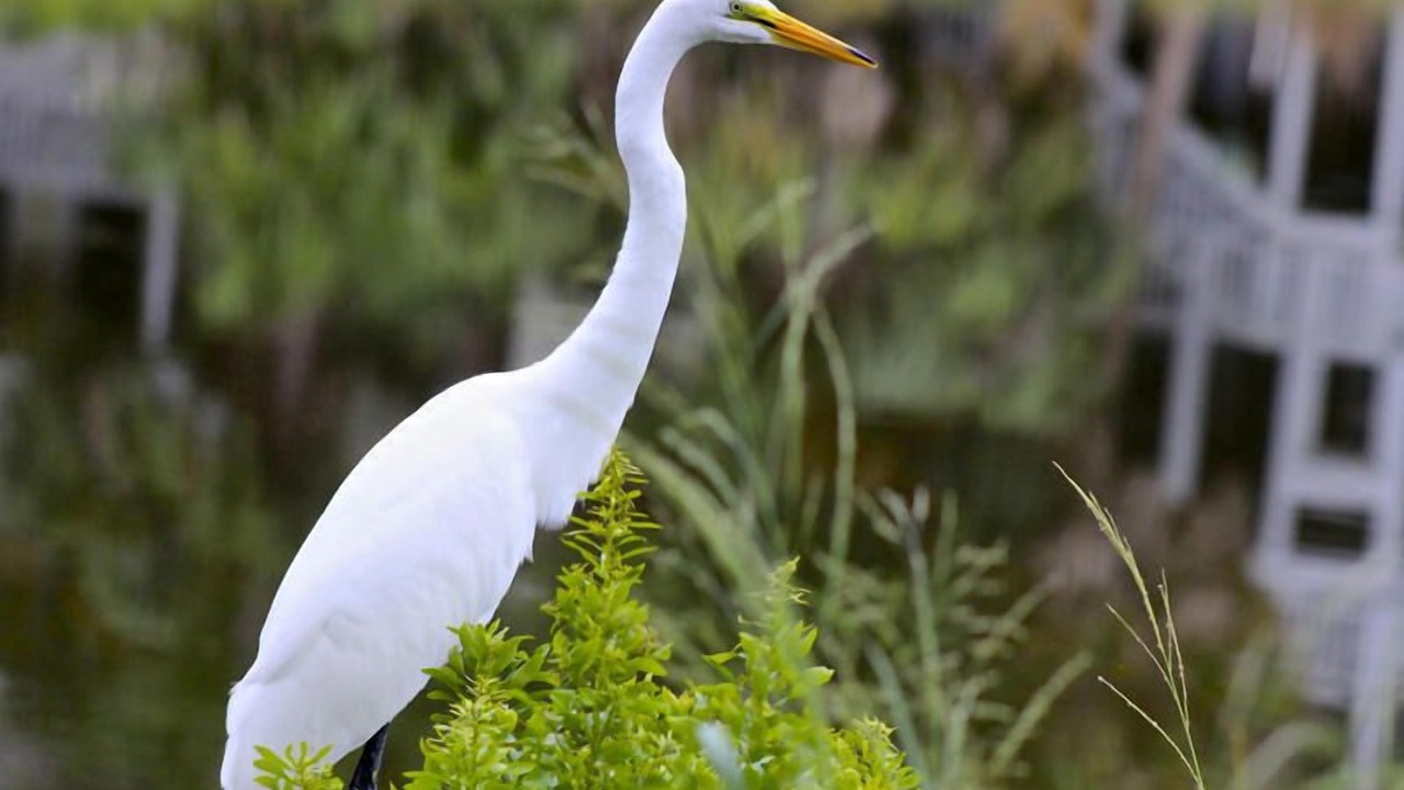 Photo of Outdoor in Saint Helena Island