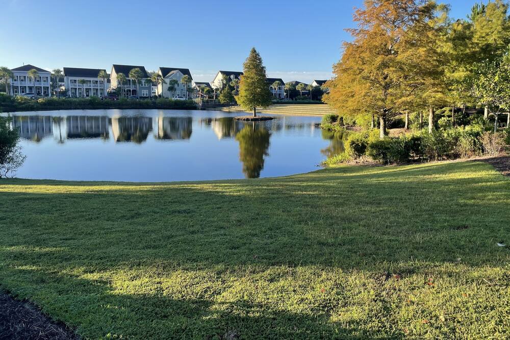 Photo of Outdoor in Summerville
