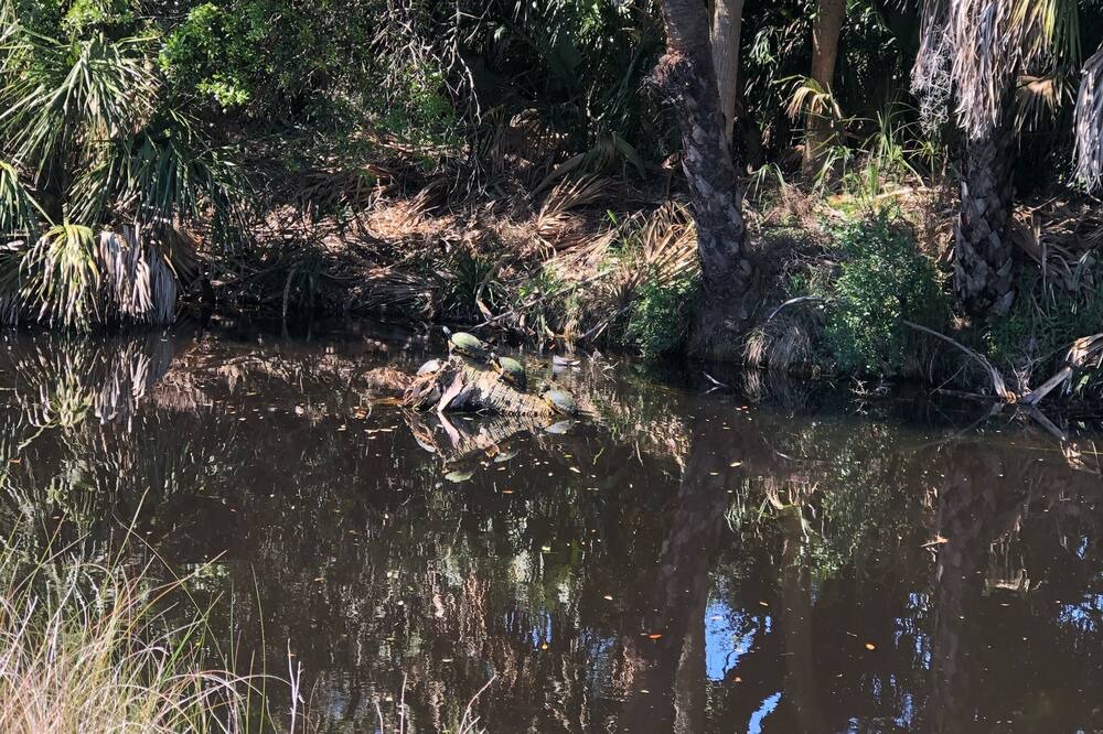 Photo of Outdoor in Saint Helena Island