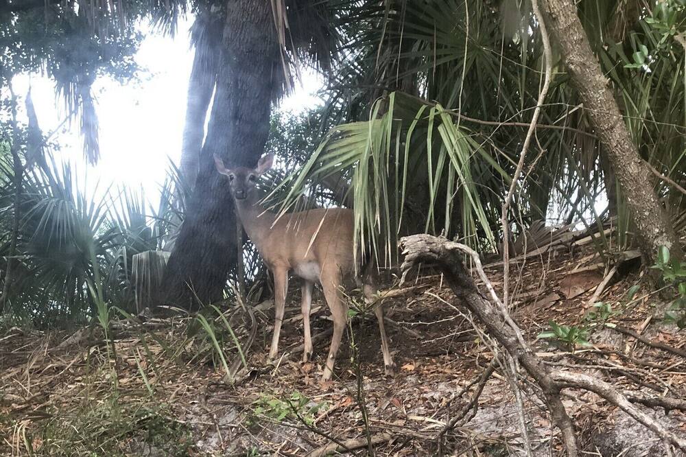Photo of Outdoor in Saint Helena Island