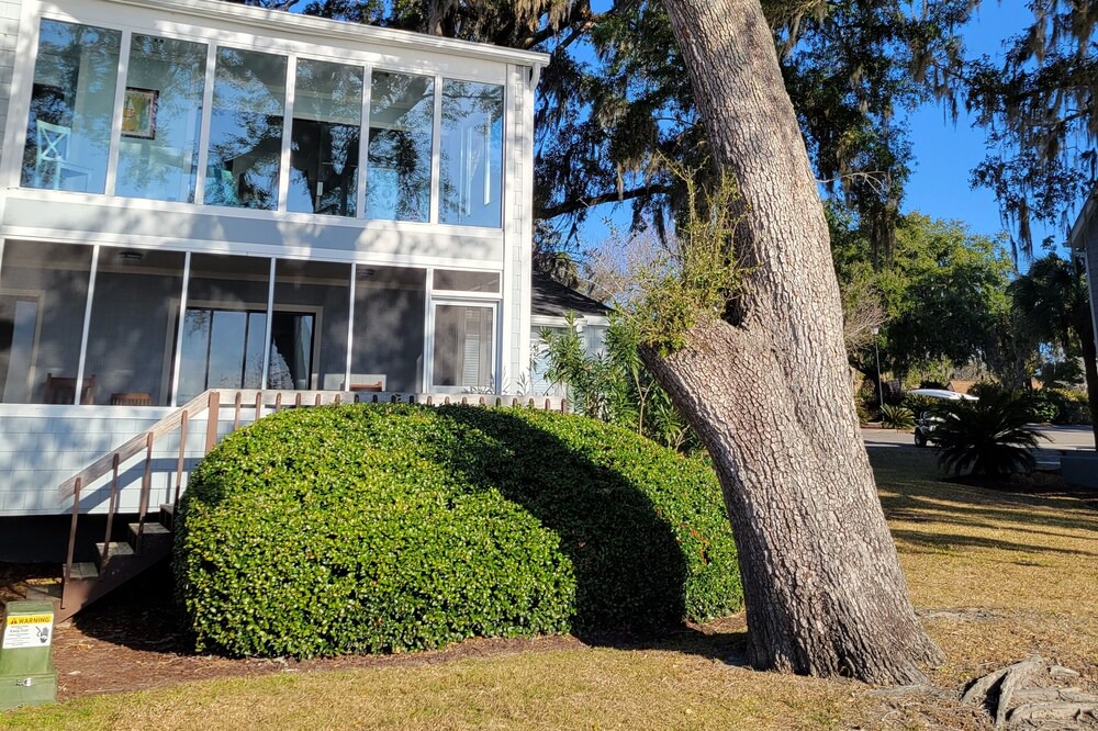 Photo of Outdoor in Georgetown
