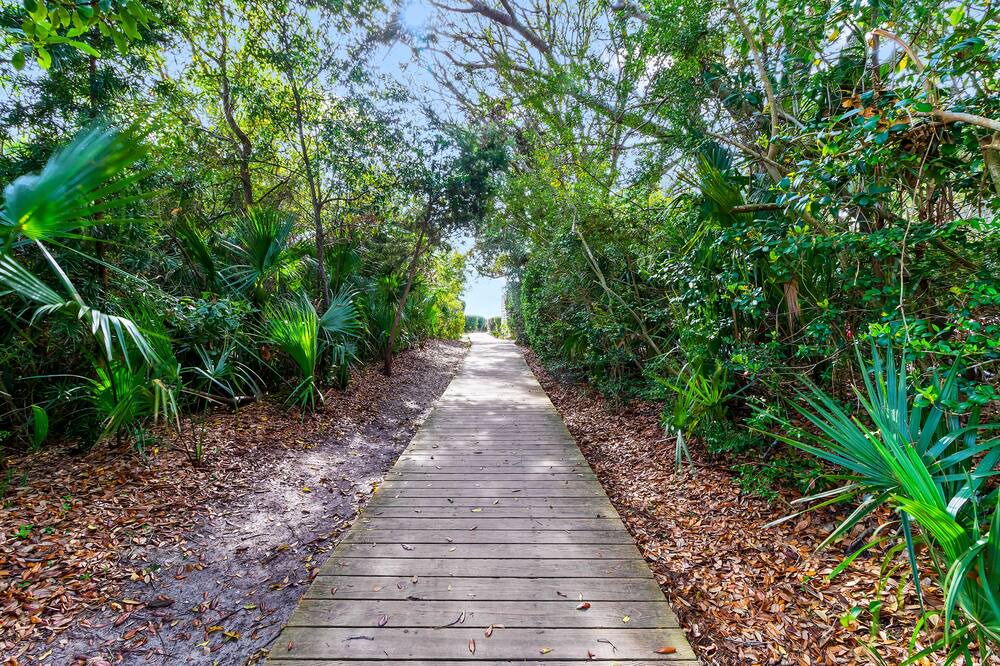 Photo of Others in Seabrook Island