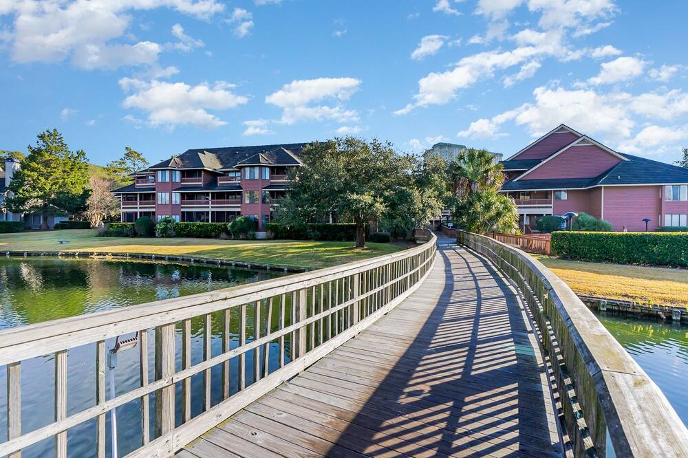 Photo of Others in Arcadian Shores