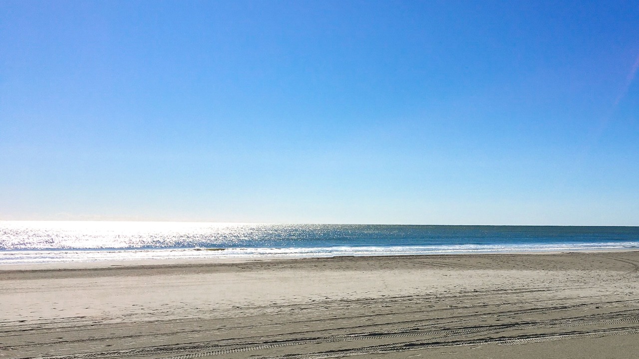 Photo of Others in Myrtle Beach