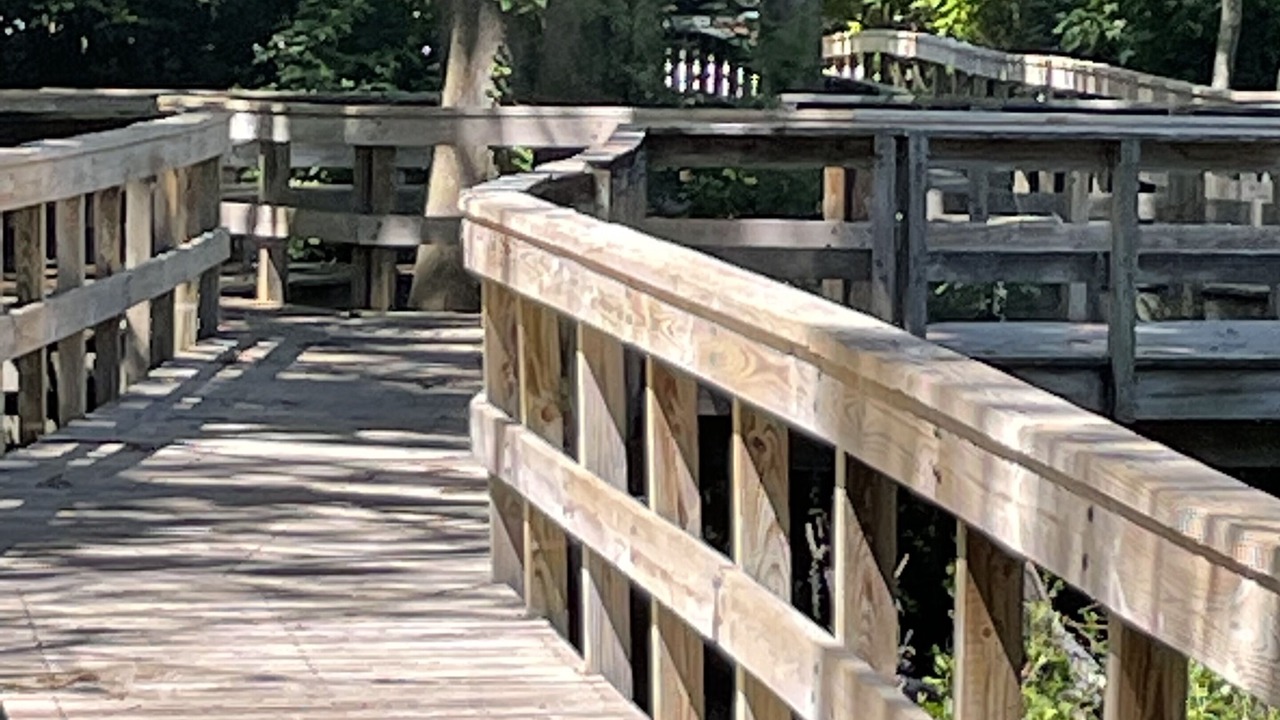 Photo of Outdoor in Port Royal