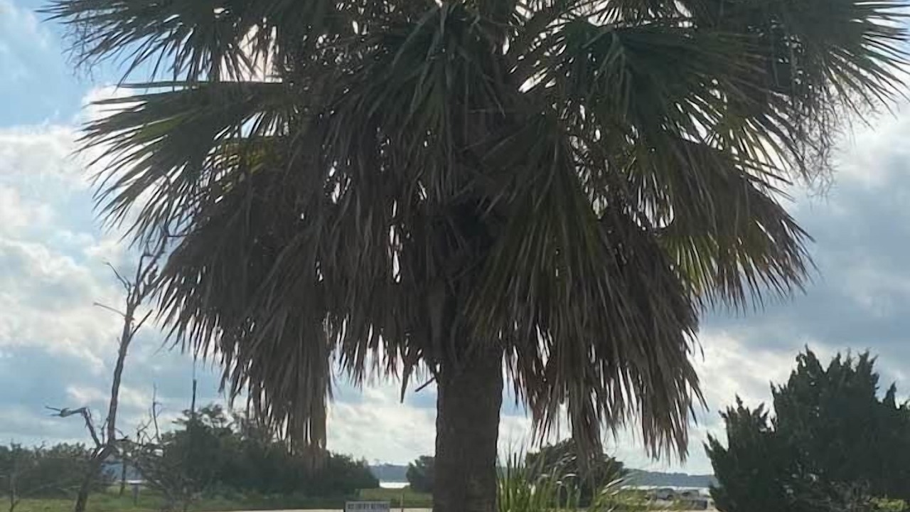 Photo of Outdoor in Port Royal