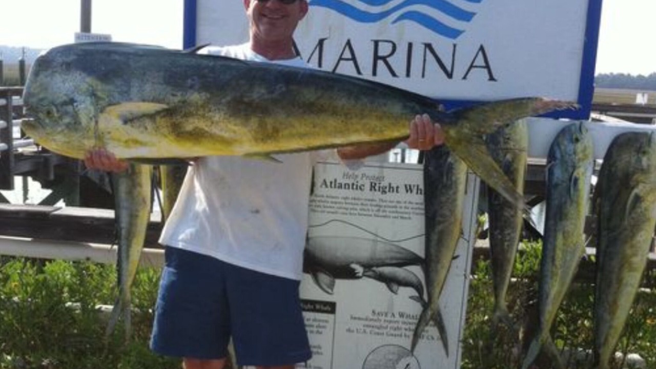 Photo of Outdoor in Saint Helena Island
