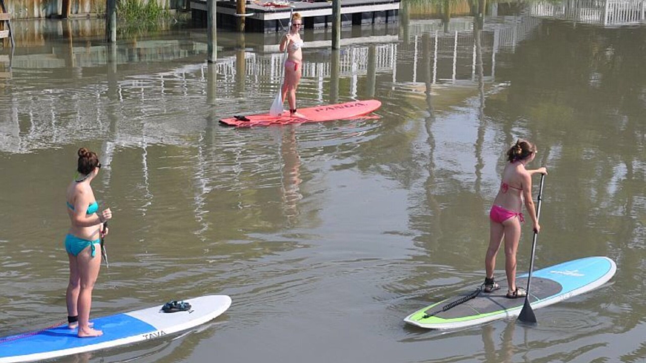 Photo of Others in Saint Helena Island