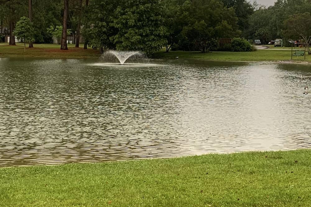Photo of Outdoor in Summerville