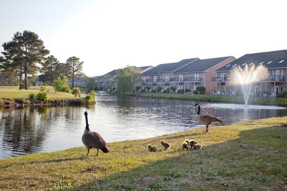 Photo of Outdoor in Surfside Beach