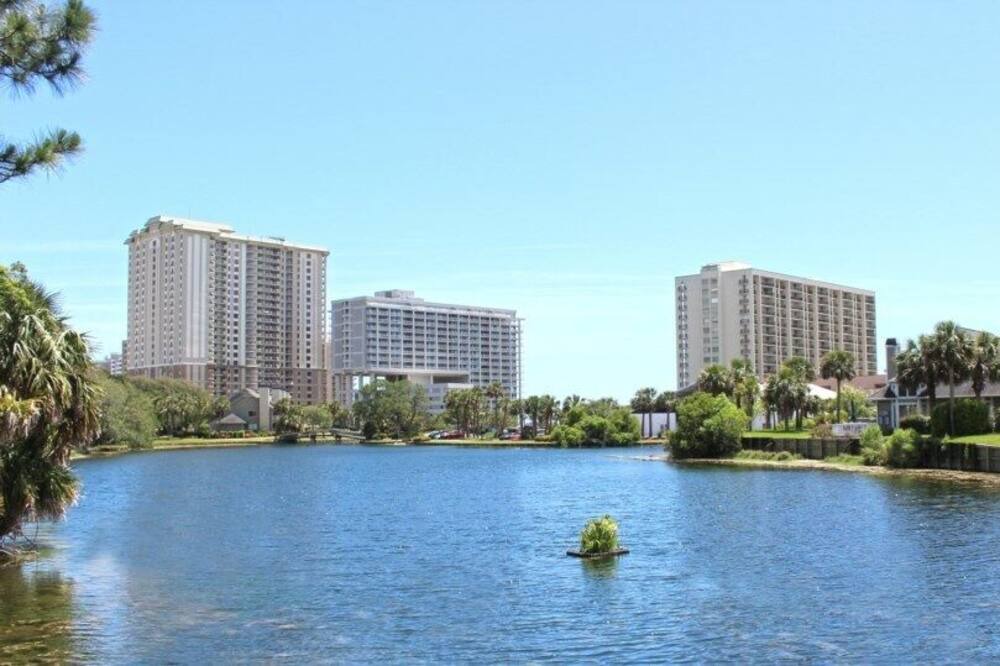 Photo of Others in Arcadian Shores