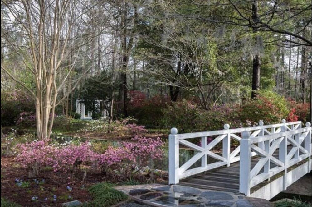 Photo of Outdoor in Summerville Historic District