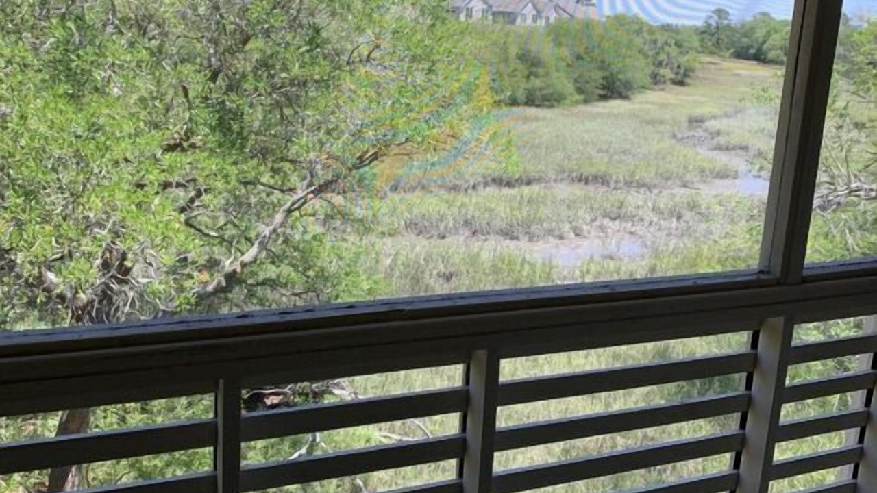 Photo of Patio Balcony in Seabrook Island