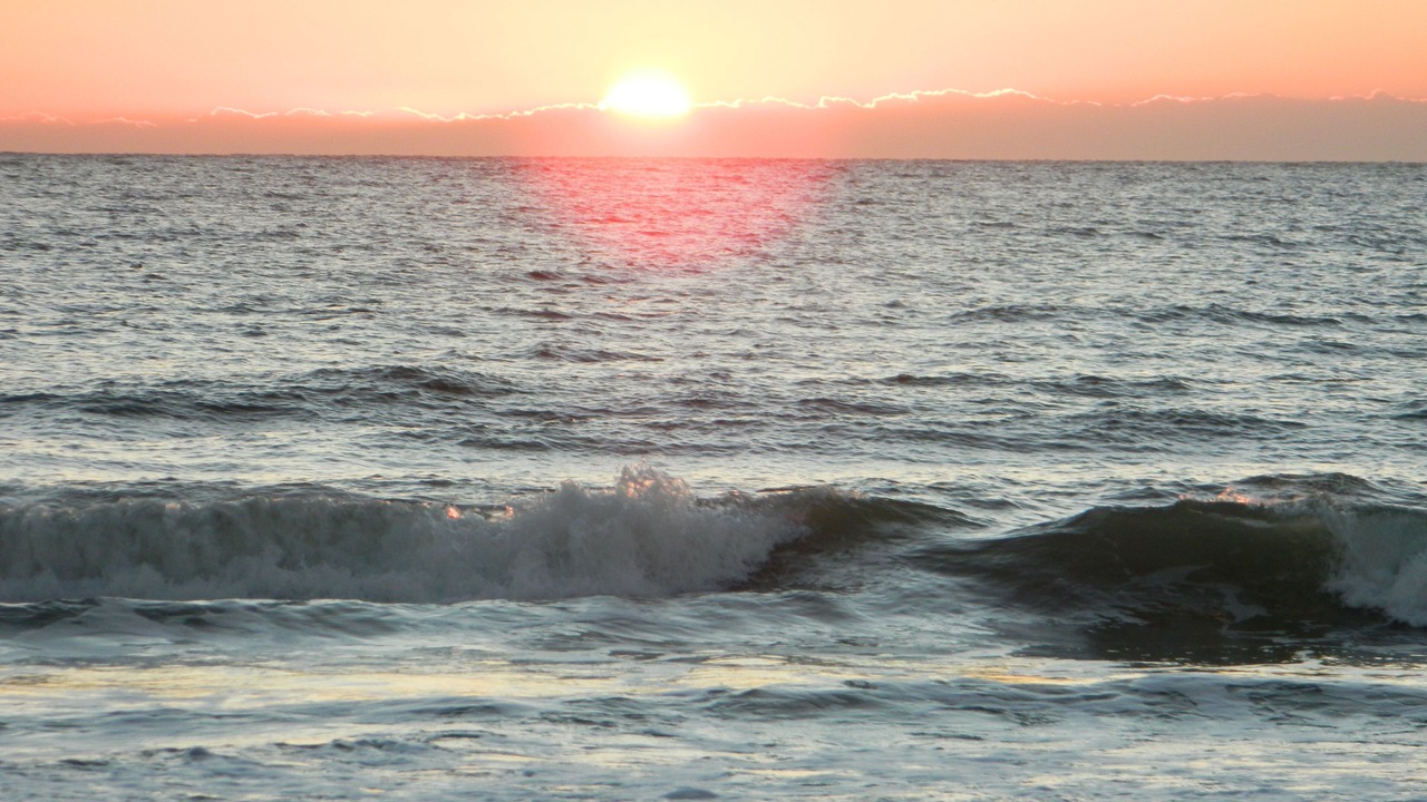 Photo of Others in North Litchfield Beach