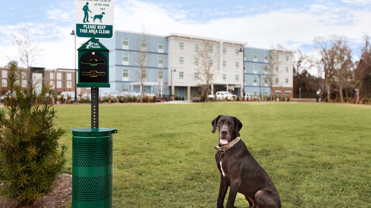 Photo of Outdoor in Mount Pleasant