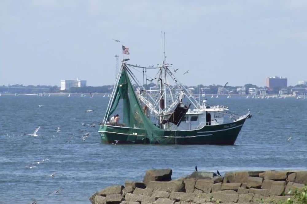 Photo of Others in Sullivan's Island