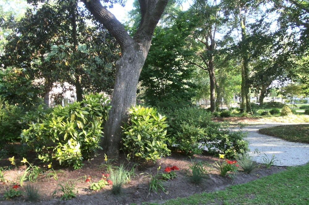 Photo of Outdoor in Summerville