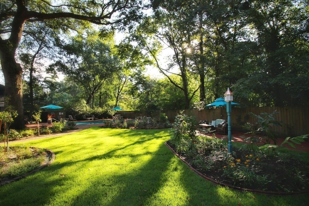 Photo of Outdoor in Summerville