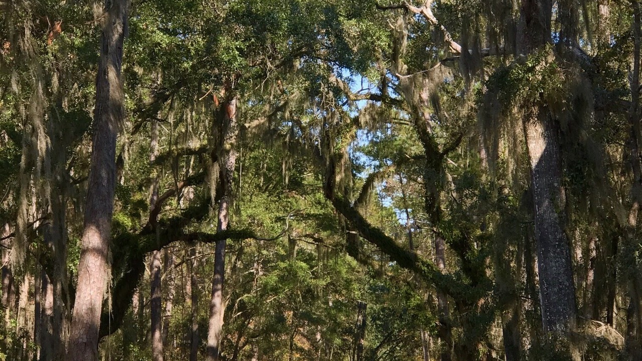 Photo of Outdoor in Haig Point