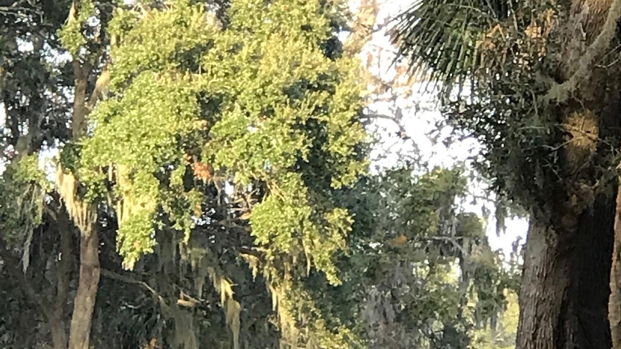 Photo of Others in Haig Point