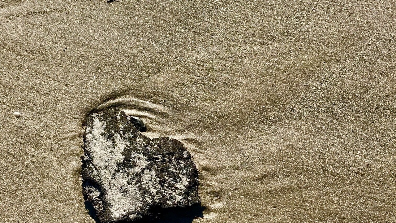 Photo of Others in Haig Point