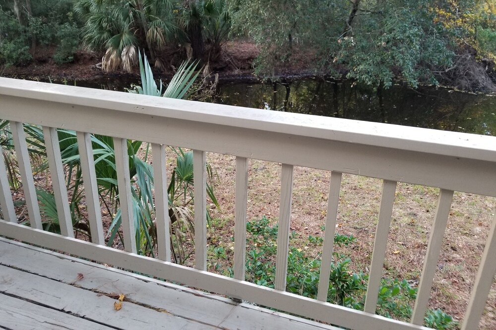 Photo of Outdoor in Night Heron