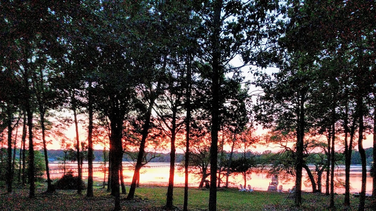 Photo of Outdoor in Johns Island