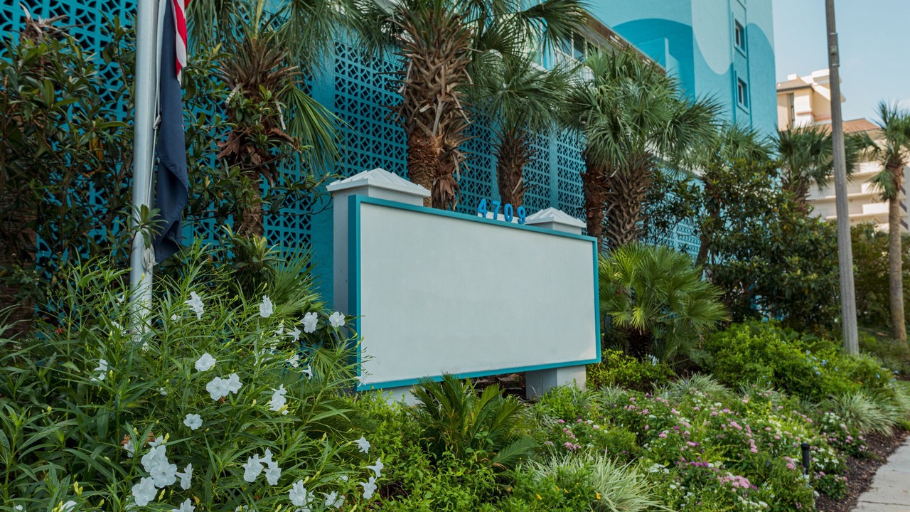 Photo of Outdoor in Windy Hill