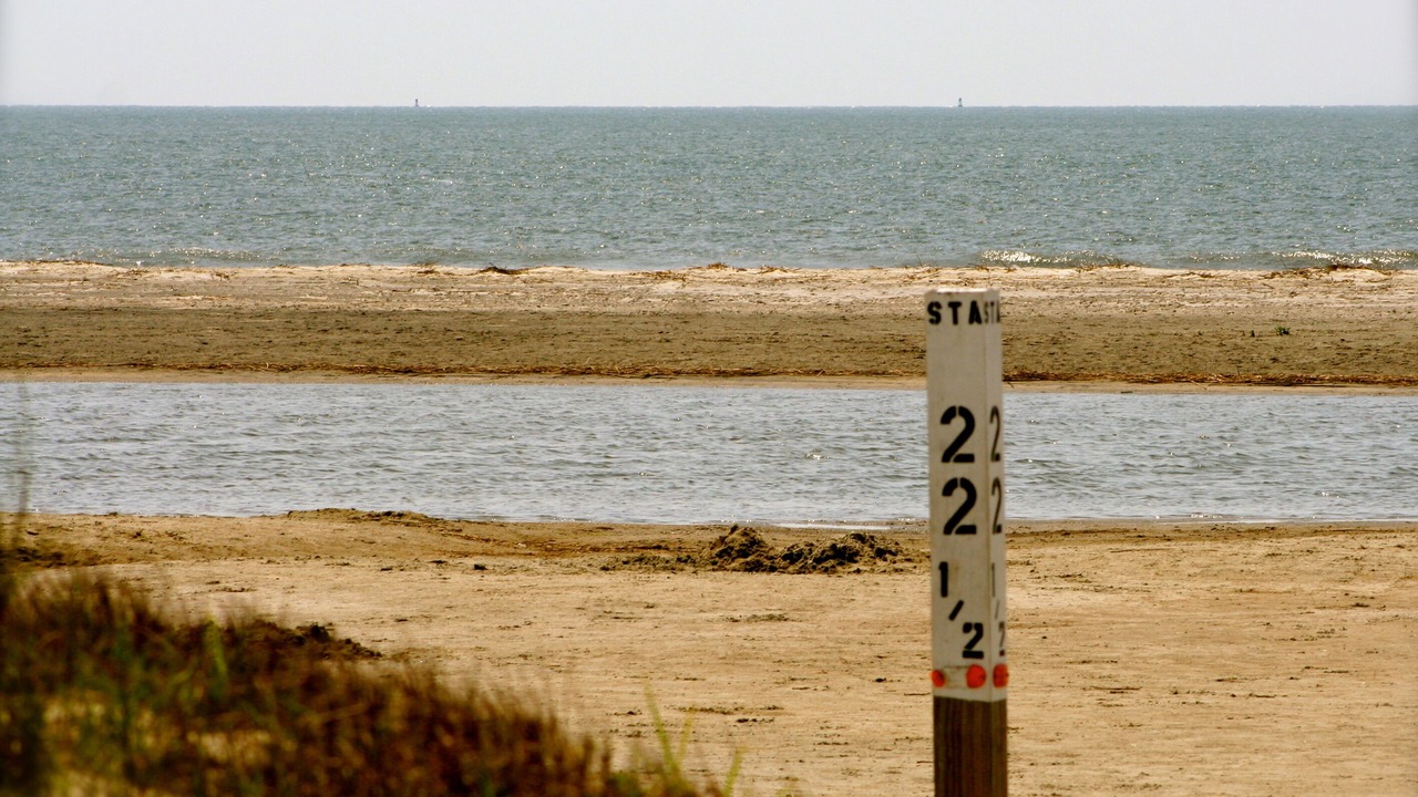 Photo of Others in Sullivan's Island