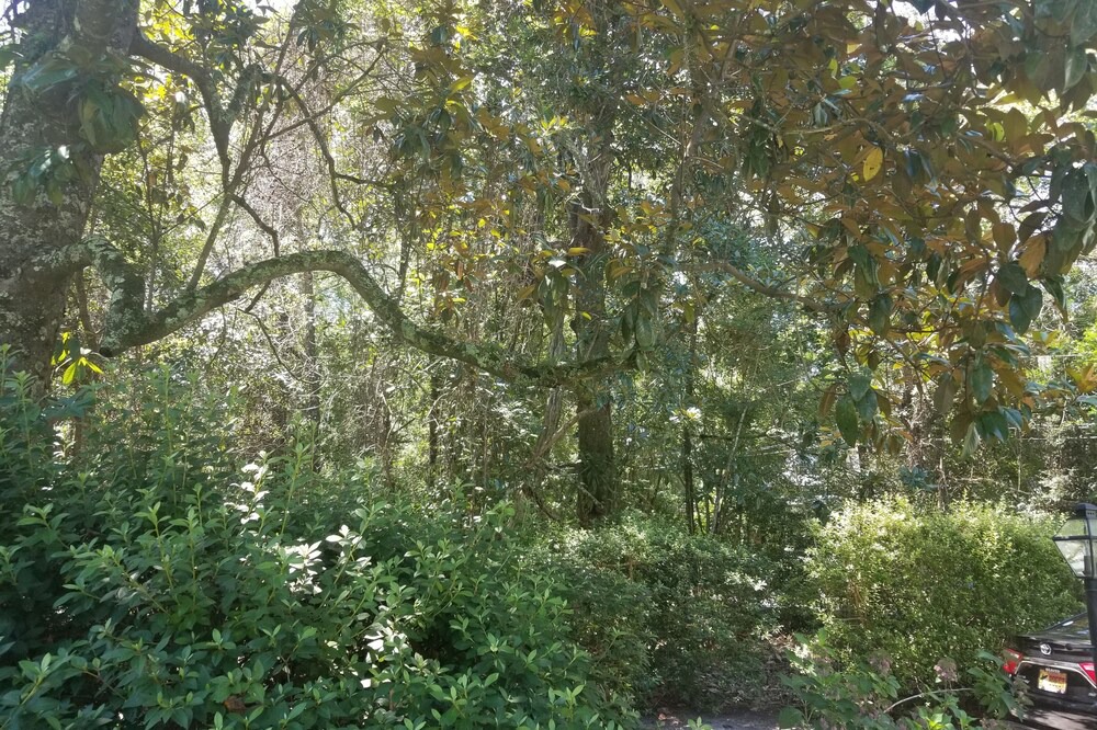 Photo of Outdoor in Summerville Historic District