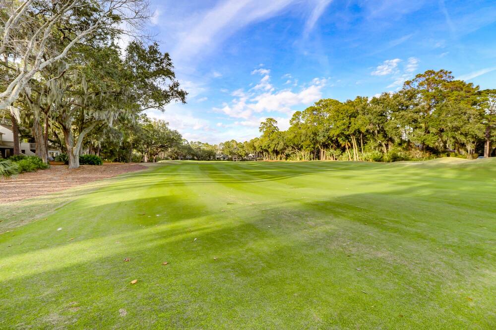 Photo of Others in Sea Pines