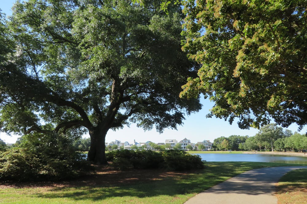 Photo of Others in Charleston