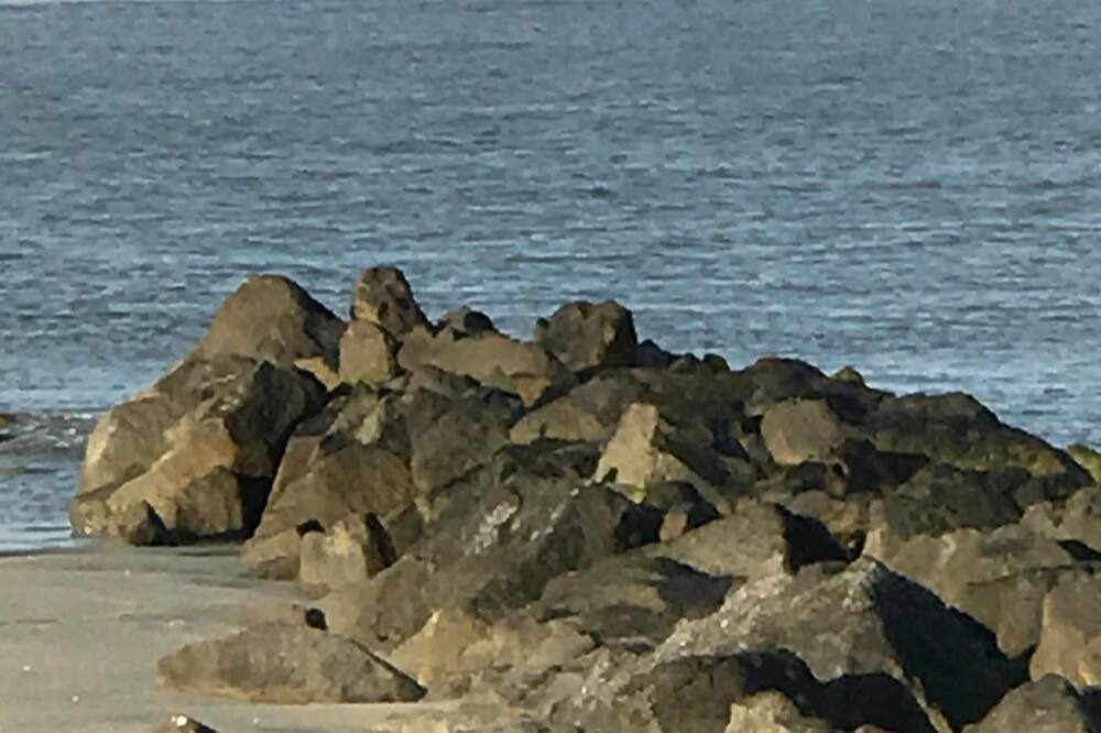 Photo of Others in Folly Beach