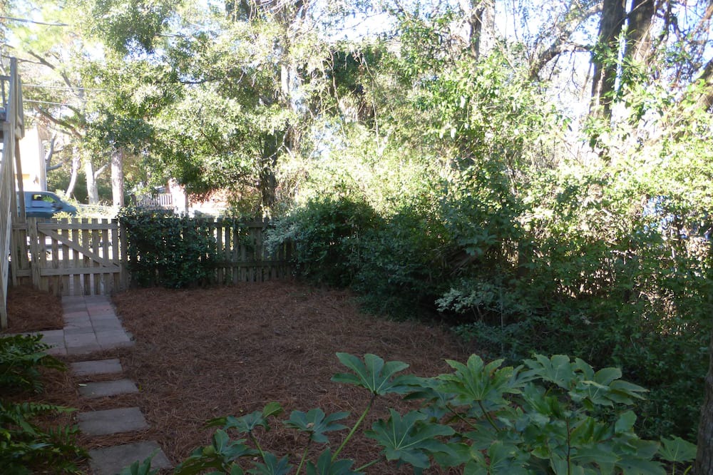 Photo of Outdoor in Folly Beach